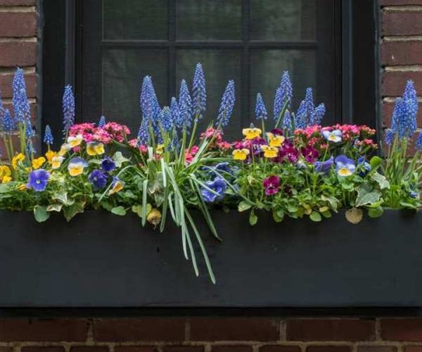 kovinska korita za rože